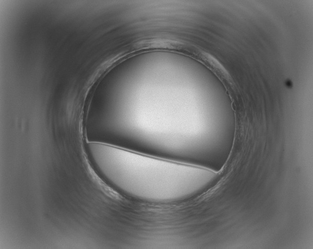 X0000074970938200609011013