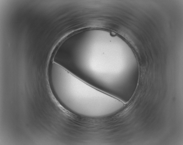 X0000074970939200609011013