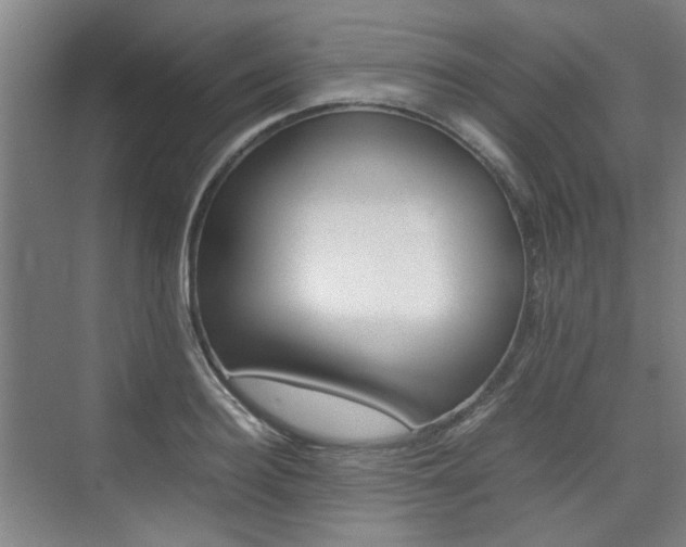 X0000074970940200609011013