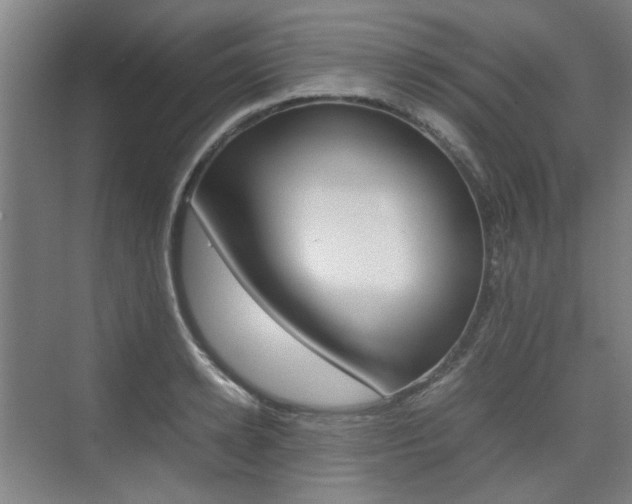 X0000074970942200609011013