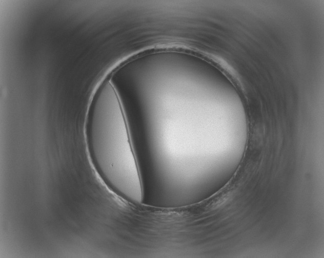 X0000074970943200609011013
