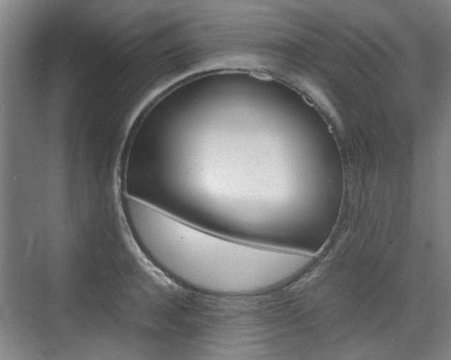 X0000074970944200609011013