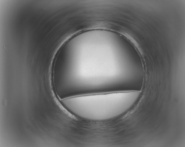 X0000074970949200609011013