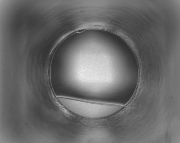 X0000074970960200609011013