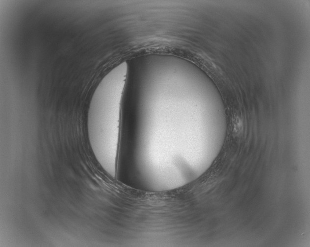 X0000074970964200609011012