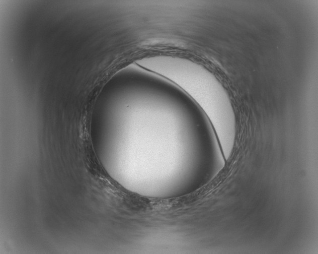X0000074970965200609011012