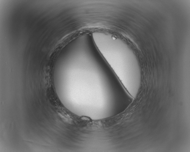 X0000074970968200609011012