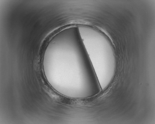 X0000074970971200609011012