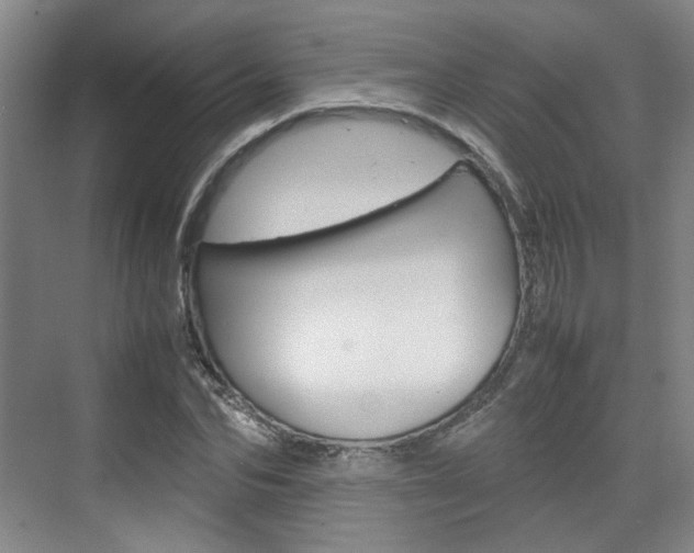 X0000074970974200609011012