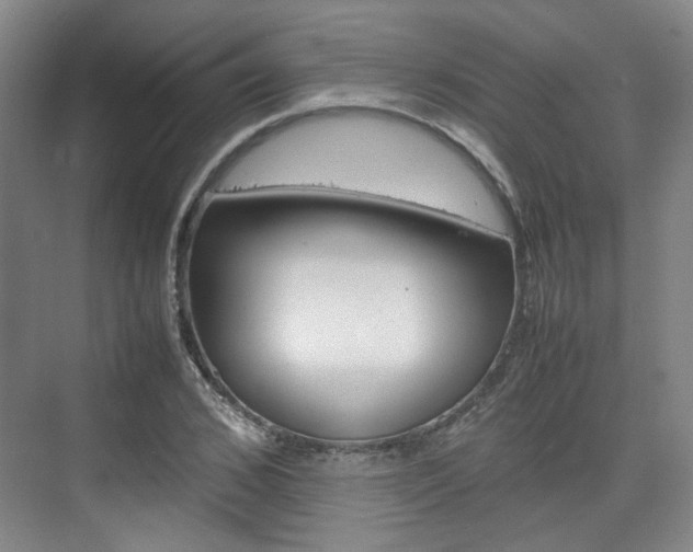 X0000074970976200609011012