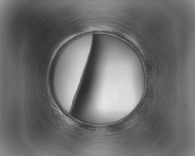 X0000074970979200609011012
