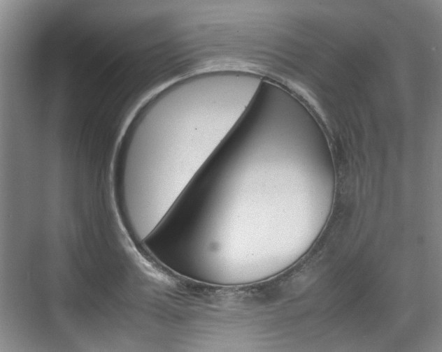 X0000074970987200609011012