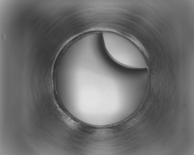 X0000074970988200609011012