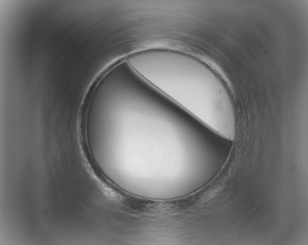 X0000074970991200609011012