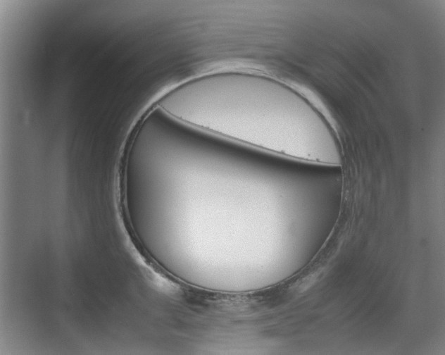 X0000074970999200609011012