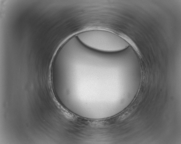 X0000074971004200609011011