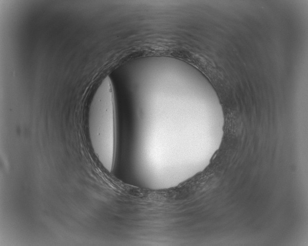 X0000074971009200609011011