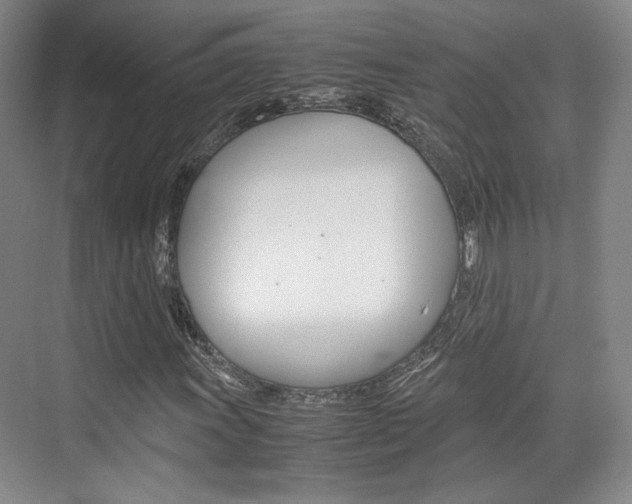 X0000074971011200609011011