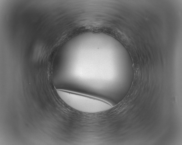 X0000074971012200609011011