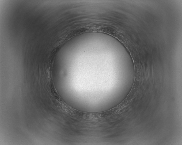 X0000074971013200609011011