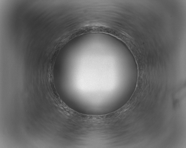 X0000074971014200609011011