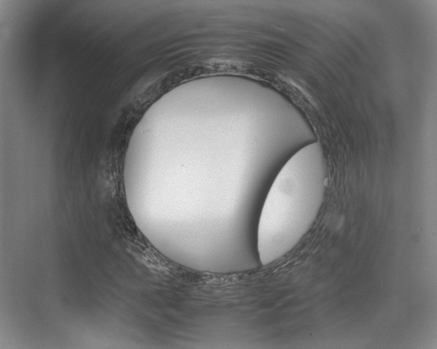 X0000074971015200609011011