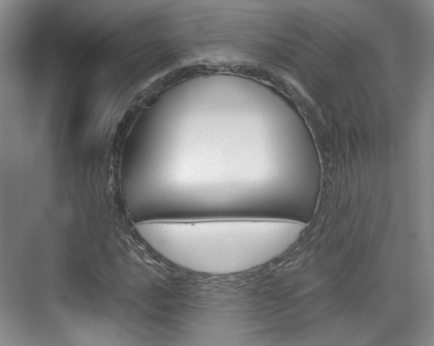 X0000074971016200609011011