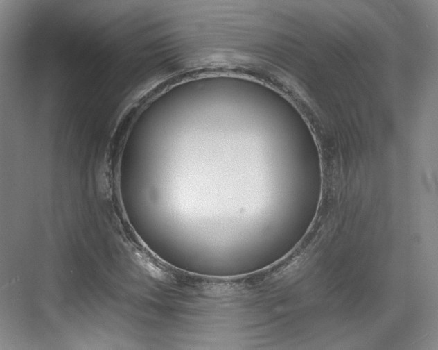 X0000074971018200609011011