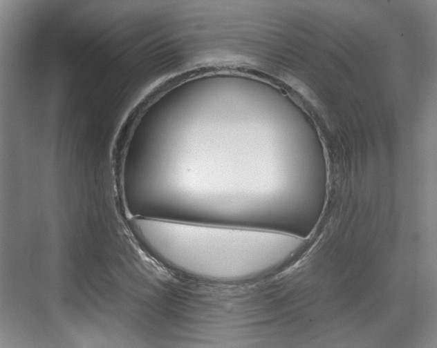 X0000074971022200609011011