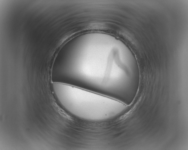 X0000074971025200609011011