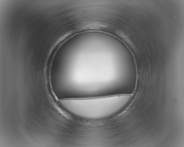 X0000074971026200609011011