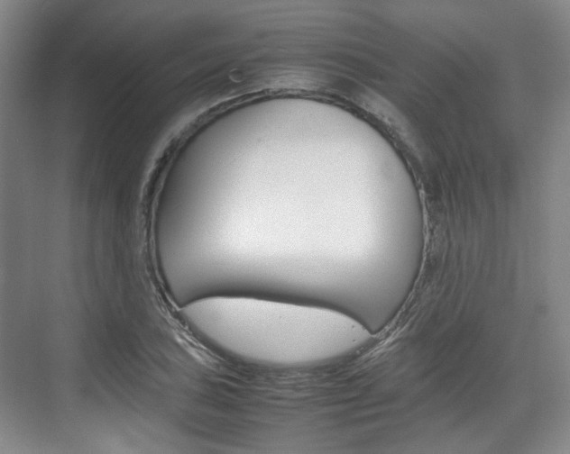 X0000074971027200609011011