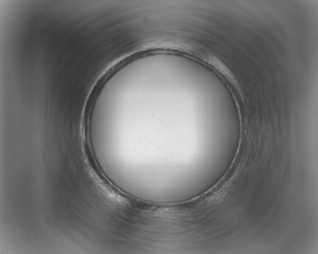 X0000074971028200609011011