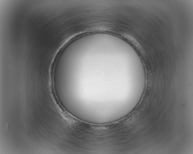 X0000074971031200609011011