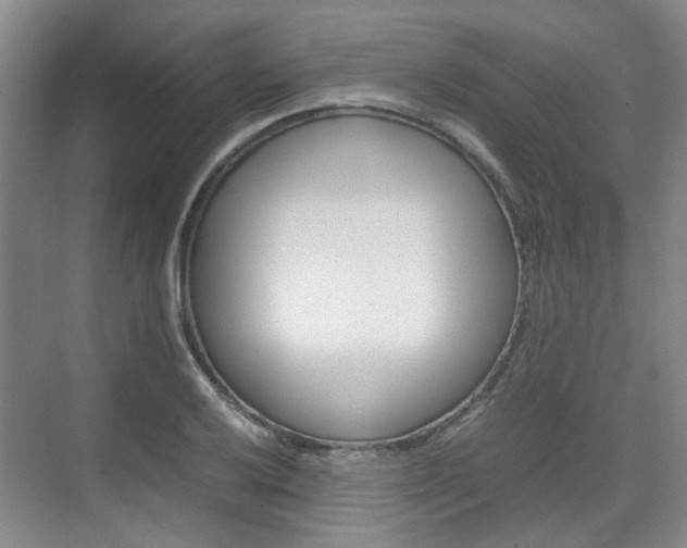 X0000074971032200609011011