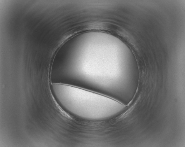 X0000074971033200609011011