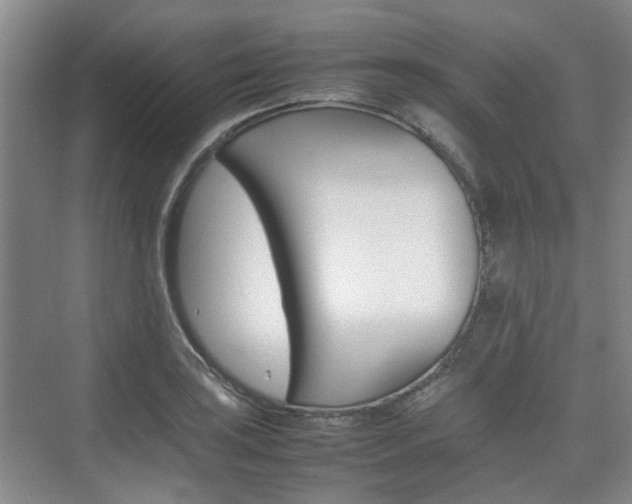 X0000074971035200609011011