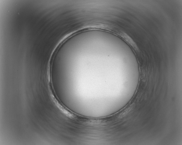 X0000074971036200609011011