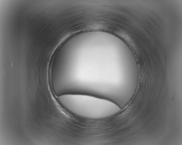 X0000074971039200609011011