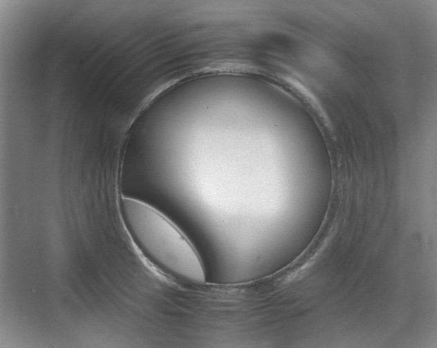 X0000074971041200609011011