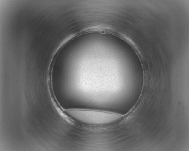 X0000074971042200609011011