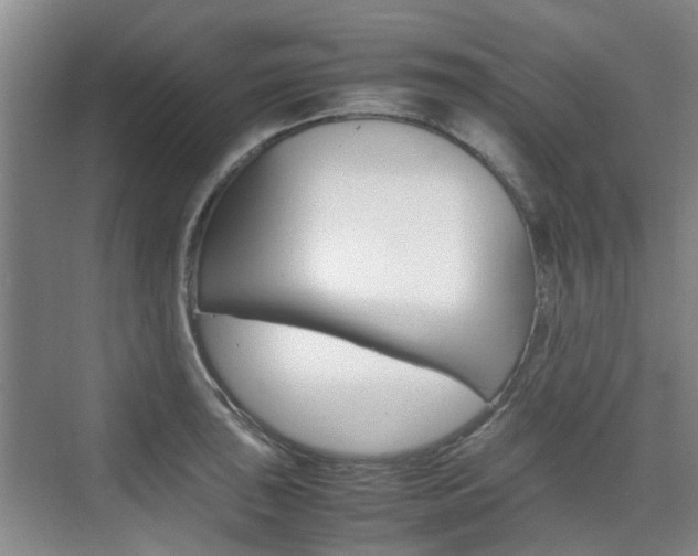 X0000074971043200609011011