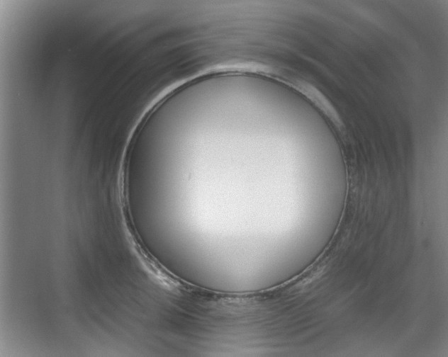 X0000074971044200609011011
