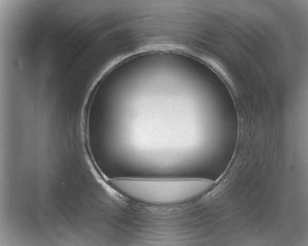 X0000074971046200609011011