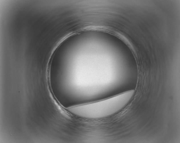 X0000074971050200609011011