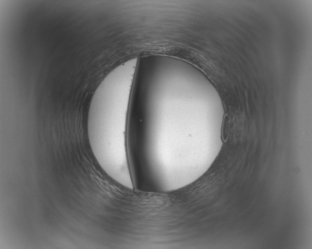 X0000074971058200609011011