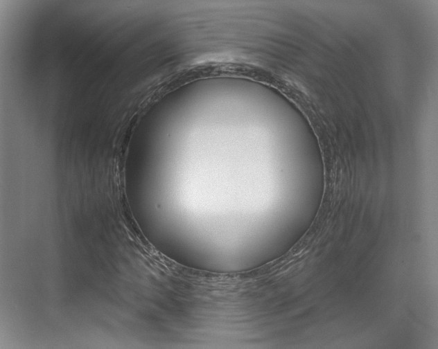 X0000074971062200609011010