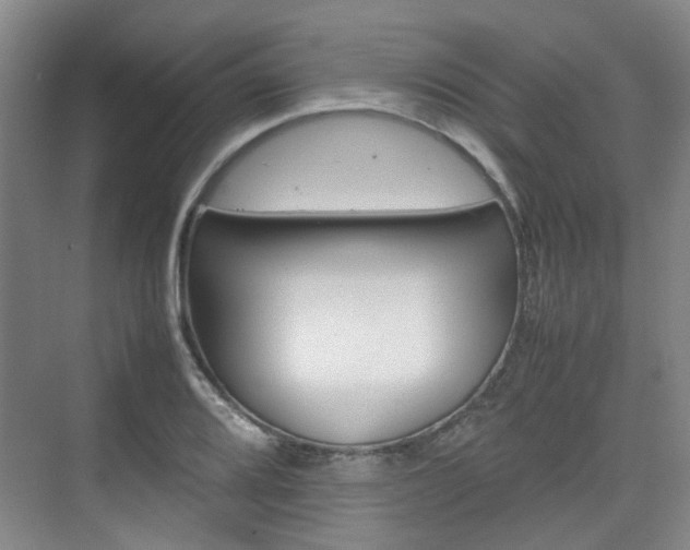 X0000074971080200609011010