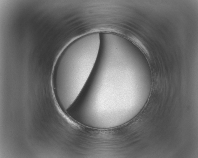 X0000074971084200609011010
