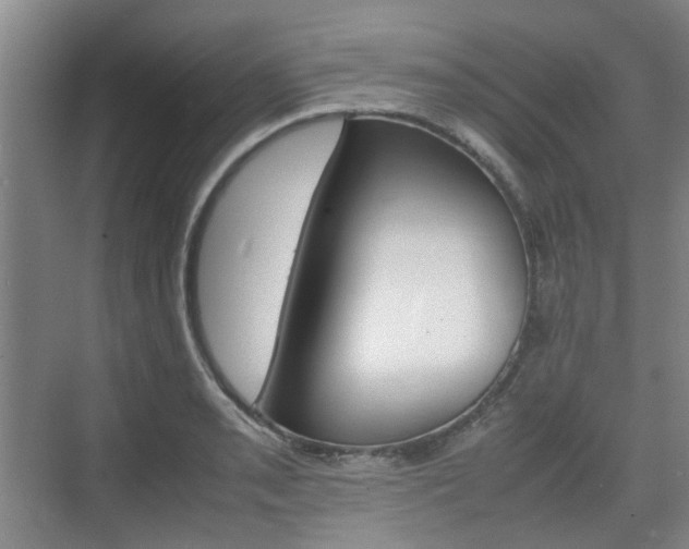 X0000074971085200609011010